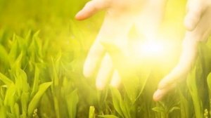 А.В. Клюев - Путь Сознательной Духовной Эволюции. 1 часть (3/8)