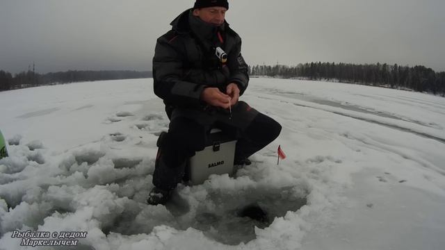 РЫБА ПОШЛА К ВЕЧЕРУ. Рыбалка на ГВОЗДИК на РУЗЕ. смотреть онлайн