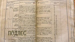Метрическая книга 1915 года