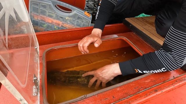 Чемпионат Саратовской области по ловле спиннингом с лодок 2023 смотреть онлайн