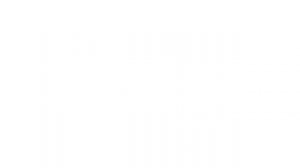 Методы искусственного интеллекта. Лекция 4. Персептрон