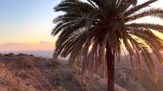 Первый день в Лос Анджелесе ||VLOG|| Aza.Groza|| смотреть онлайн