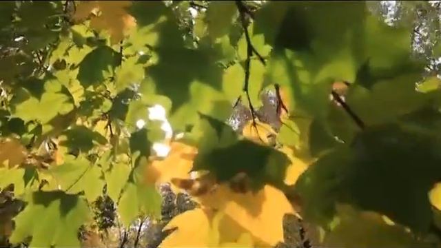 Невже кохала смотреть онлайн