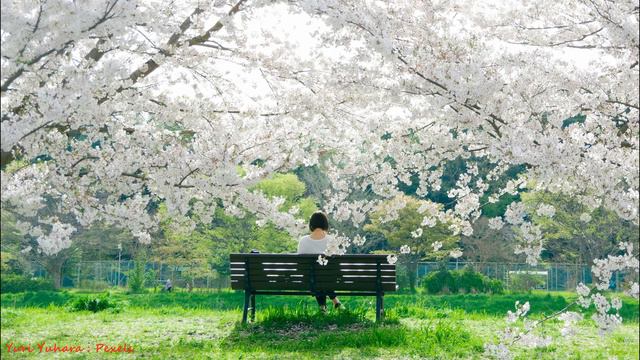 Tenderness Of Flowers  Нежность цветов - спонтанное пение - spontaneous singing