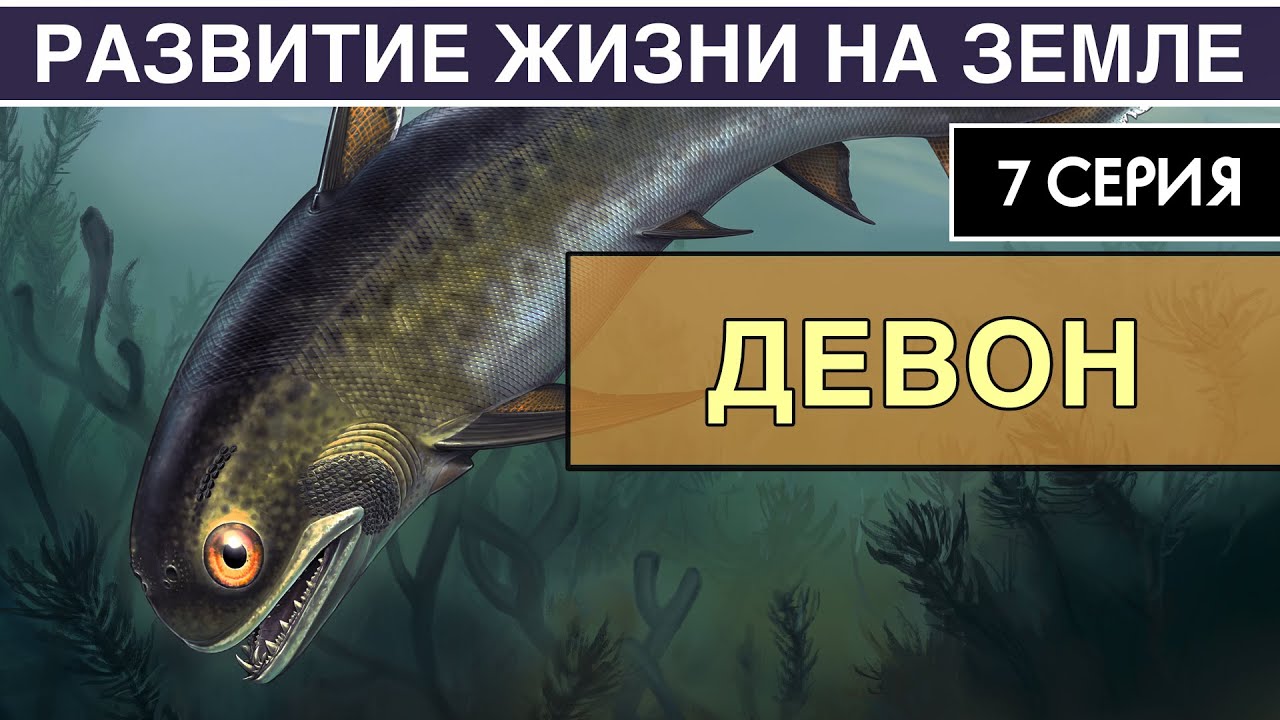 ДЕВОНСКИЙ ПЕРИОД. Развитие жизни на Земле. 7 серия | Эпоха рыб. Первые четвероногие