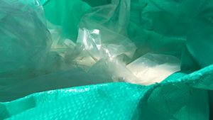 Просо легло | УБОРКА ПРОСА 2020 | Селитра протекла