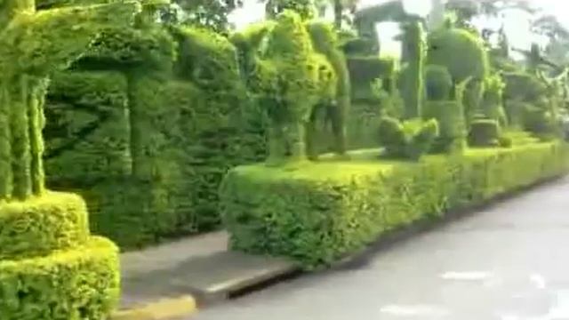 ? Искусство топиари смотреть онлайн