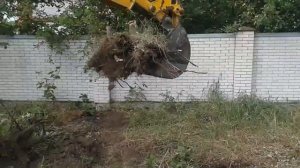 Расчистка участка под строительство,Очистка территории от зарослей.Киев,Киевская область.Украина.