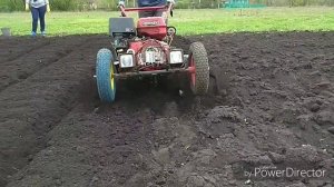 Посадка картофеля под фрезы мотокультиватора.