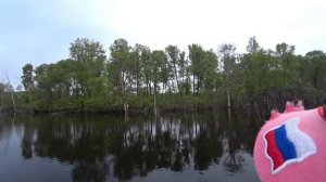 Трофейная рыбалка на Нижне-Бурейском водохранилище.