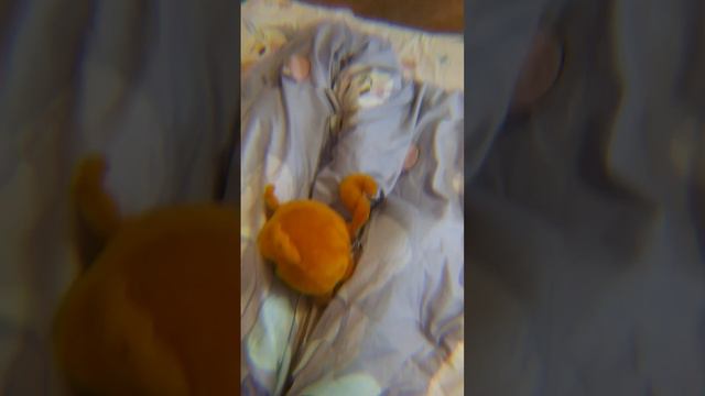 goldilocks gardenias no kjzkooo798 смотреть онлайн