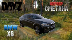 DayZ BMW X6