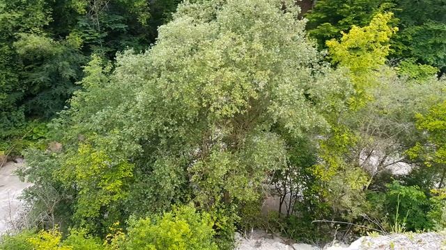 Река Чегем. Кабардино-Балкария смотреть онлайн