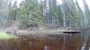 Водами Онеги. Часть - 1. р. Нименьга - р. Волошка