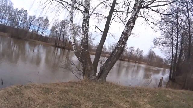 Сплав по реке Шерна смотреть онлайн