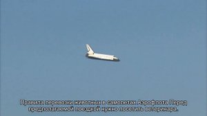 Как перевезти кошку в самолета в России: правила и нормы провоза