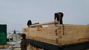 Дом 8х10 м. из бруса 150х200 мм. Часть 1: Сборка сруба