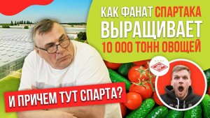 10 000 тонн овощей в год в супер-современных теплицах! Как проходила реконструкция "Крымтеплица"?