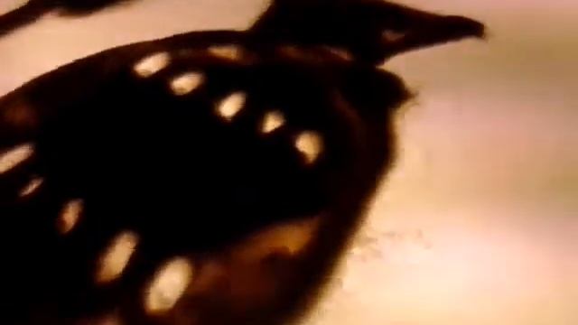 Лиса и журавль смотреть онлайн