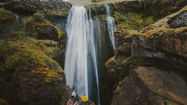 Тигр перекрыл вход в торговый центр и жалобно мяучил. Но когда из толпы вышел мальчик... смотреть онлайн