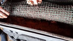 Самый простой, зимний способ кормления червя Старатель 1