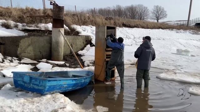 БУДНИ РЫБХОЗА Спуск пруда и отлов крупной рыбы ! Тут много КАРПА, ЩУКИ. РЫБОРАЗВЕДЕНИЕ в Спасске!