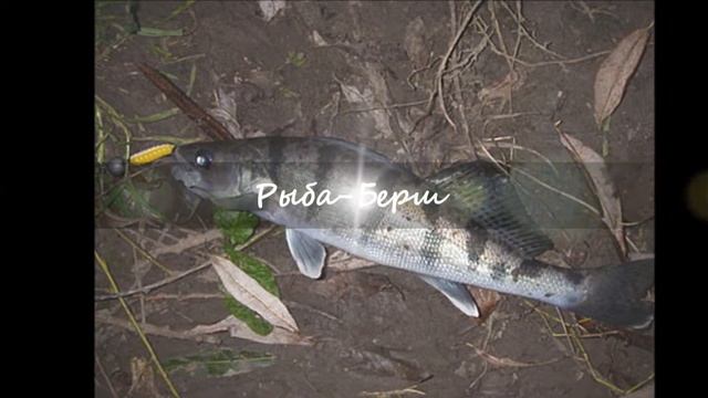 Природоохранная территория Республики Мордовия. Национальный парк 