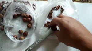 КАК ЛЕГКО КОЛОТЬ ОРЕХИ !ЛАЙФХАК С ПАКЕТИКОМ! как очистить фундук