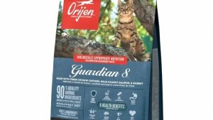 Обзор Orijen. Испортился(