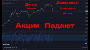 Акции падают * Дивиденды Транснефть и Магнит * Допка Белуги