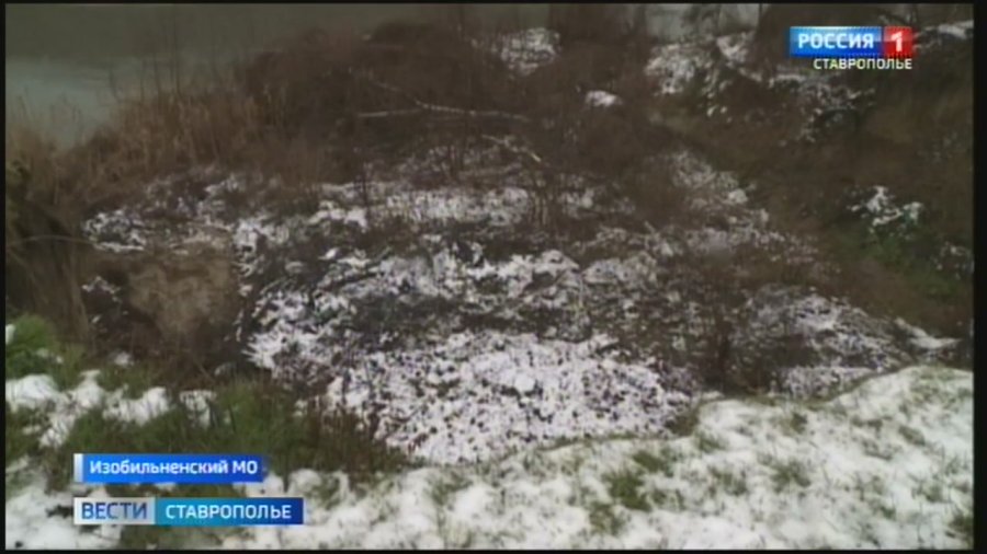 Кафе берег прохладный. Берег новотроицк. База отдыха берег солнца новотроицкое водохранилище. Берег солнца новотроицкое водохранилище. База отдыха жемчужина новотроицкое водохранилище.