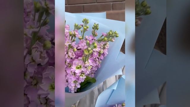 Доставка Цветов в Краснодаре. Букет маттиол
