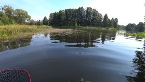 Ловля щуки на воблеры. Рыбалка на малой реке. Твичинг