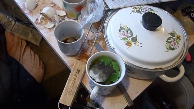 высаживаем помидоры на даче смотреть онлайн