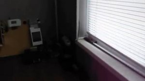 Солнечная электростанция в квартире  бесперебойное питание,альтернативная энергетика,