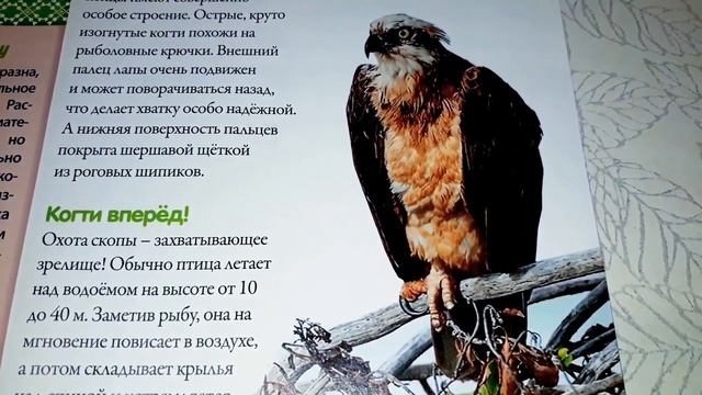 Моя страна Собери Карту России от Hachette Выпуск № 83/ My country Collect the Map of Russia