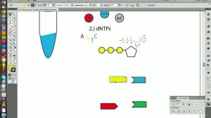 Illustrator CS5 tutorial - molecular graphics (Part 11b)