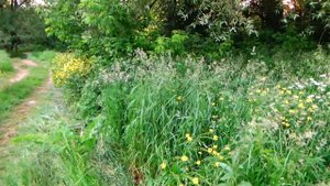 Очки для водителей и рыбаков. Антибликовые поляризационные солнцезащитные очки. Добавляют яркость.