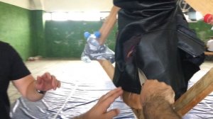 SPYDERCO POLICE SERRATED C07S.mp4