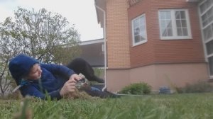 Падаю в траву