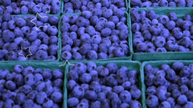 ГОЛУБИКА ПОЛЬЗА | голубика полезные свойства и противопоказания смотреть онлайн