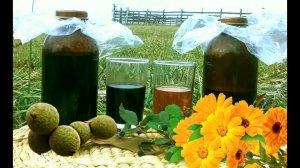 Как сделать настойку календулы и настойку чёрного грецкого ореха  #106