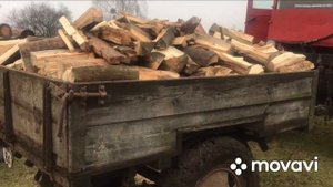 Перевозка дров на тракторі Т25