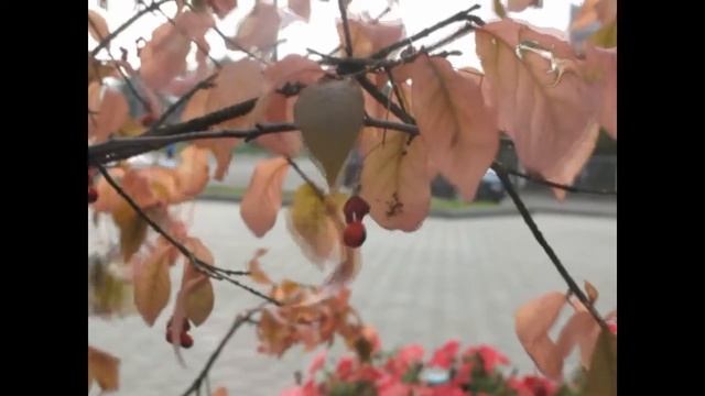 Я люблю свой город Саров. 2015, новый район 1. смотреть онлайн