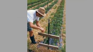 Лайфхаки для дачи и сада. Интересные идеи как облегчить себе жизнь.