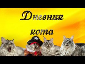 ЗАРЯЖАЕМСЯ ПОЗИТИВОМ!  Кошачьи истории или кошачья жизнь.  (Дневник кота)
