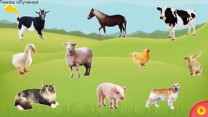 УМНЫЙ МАЛЫШ😎 ИЗУЧАЕМ ДОМАШНИХ ЖИВОТНЫХ ДЛЯ САМЫХ МАЛЕНЬКИХ!