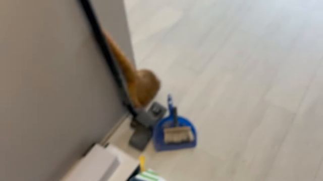 Перекрестный выключатель с трех мест смотреть онлайн