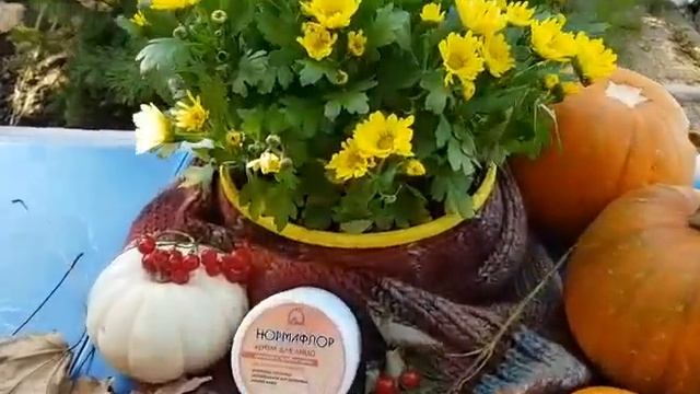 НОРМАФЛОР || Уход за кожей в осенний период