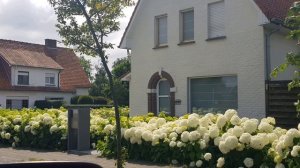 Как выглядят социальные дома в Бельгии. Полный комфорт и уход за домом и участком.